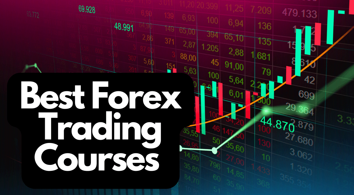 Forex trading courses India | Capitalzfx