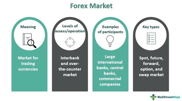 Forex trading for professionals India |  Capitalzfx 