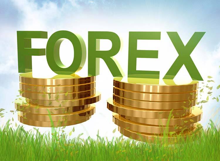 Forex Trading Indian vs Foreign Brokers India | Capitalzfx