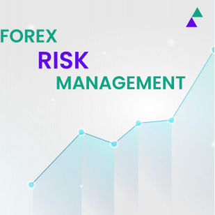 Forex Trading Professional Market Insights India | Capitalzfx