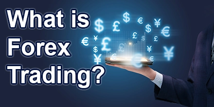 Forex Trading Quantitative Trading India | Capitalzfx