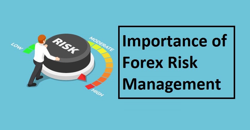 Forex Trading Risk-Taking Personality India | Capitalzfx