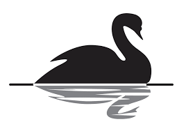 Forex trading black swan event strategies India | Capitalzfx