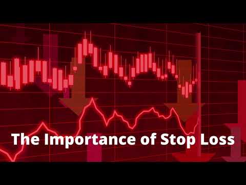 Importance of Stop-Loss in Forex Trading India | Capitalzfx