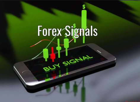 Best Forex Signal Providers In India | capitalfx 