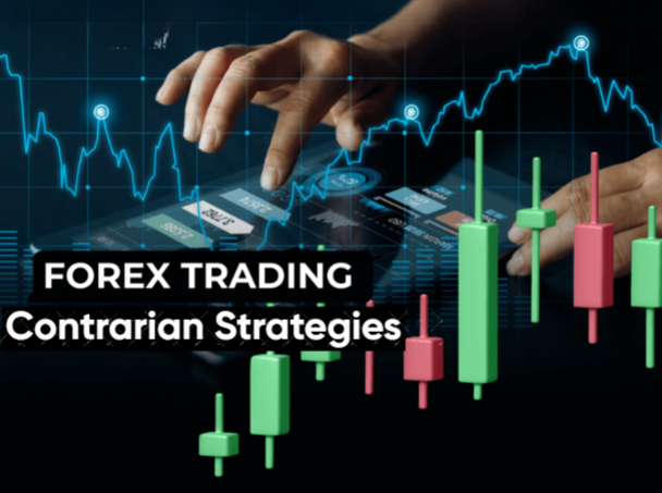 Forex trading contrarian strategies India | capitalfx