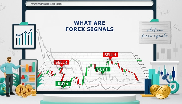 How To Use Forex Signals In India | Capitalfx 