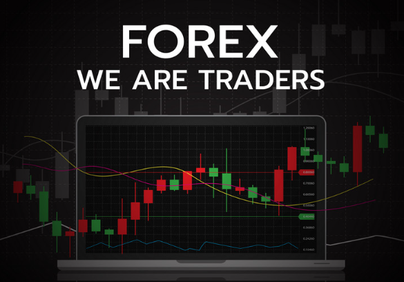 Best Forex Signal Providers In India | capitalfx 