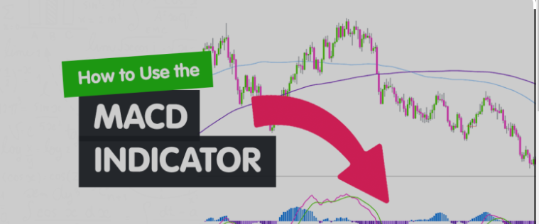 MACD forex trading indicator India
| Capitalfx