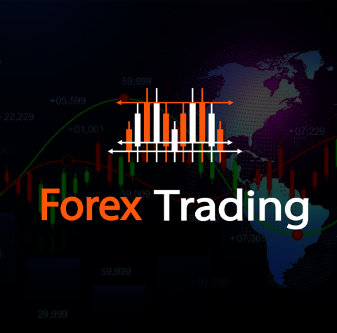 Forex trading asset declaration rules India| Capitalfx