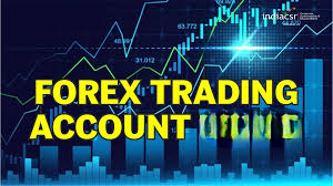 Forex trading under corporate accounts in India | Capitalzfx