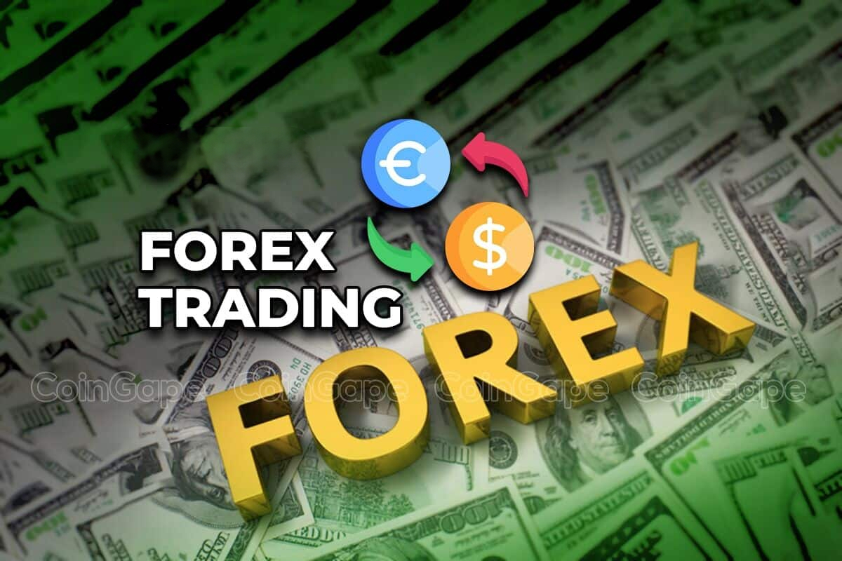 Forex trading asset declaration rules India| Capitalfx